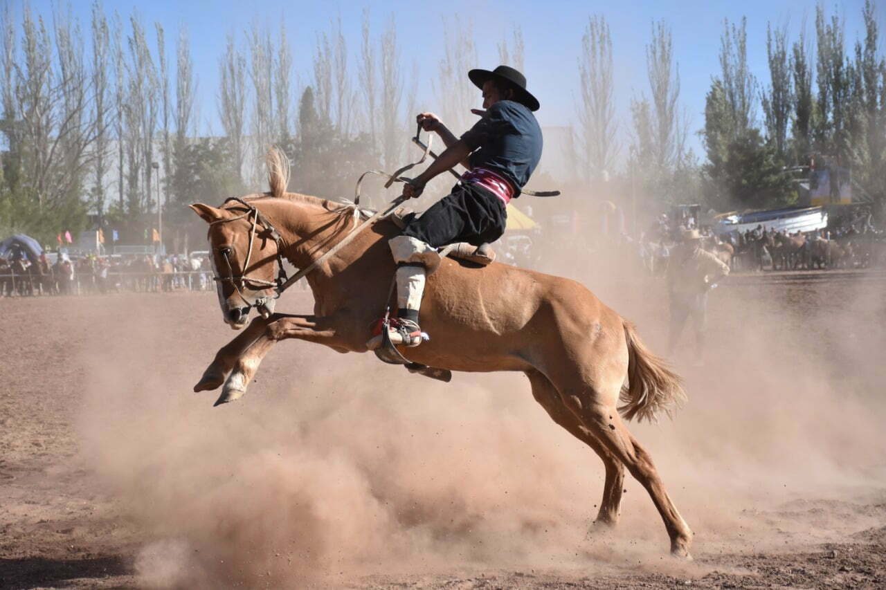 Festival de la Esperanza