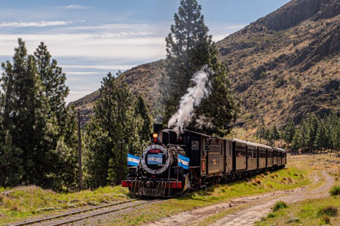 El tren a vapor La Trochita avanzando entre pinos