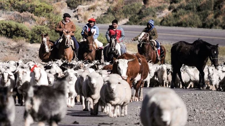 Cuatro crianceros a caballo con un piño de ovejas, cabras y vacas en el camino