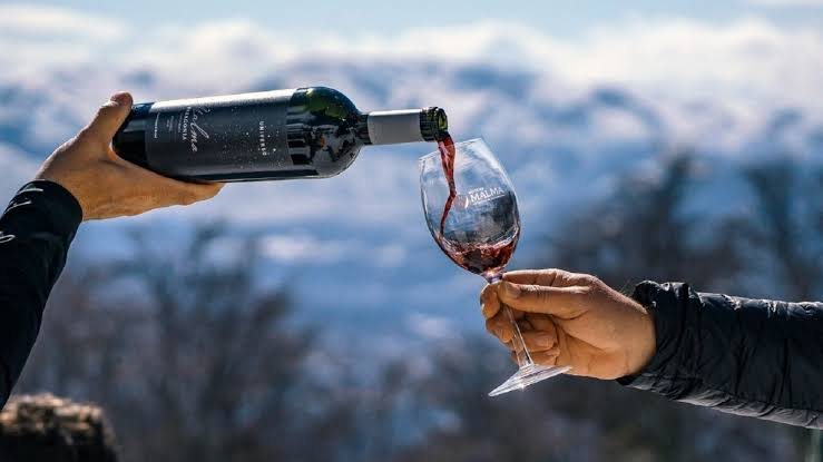 Vino a la Montaña